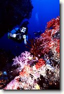 papua-nova-guinea_12.jpg